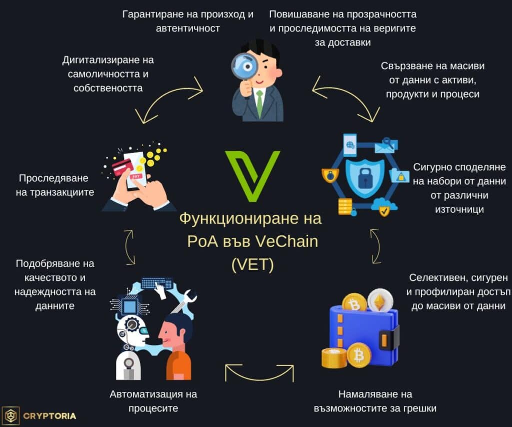 Функциониране на PoA във VeChain (VET). Инфографика Cryptoria.bg