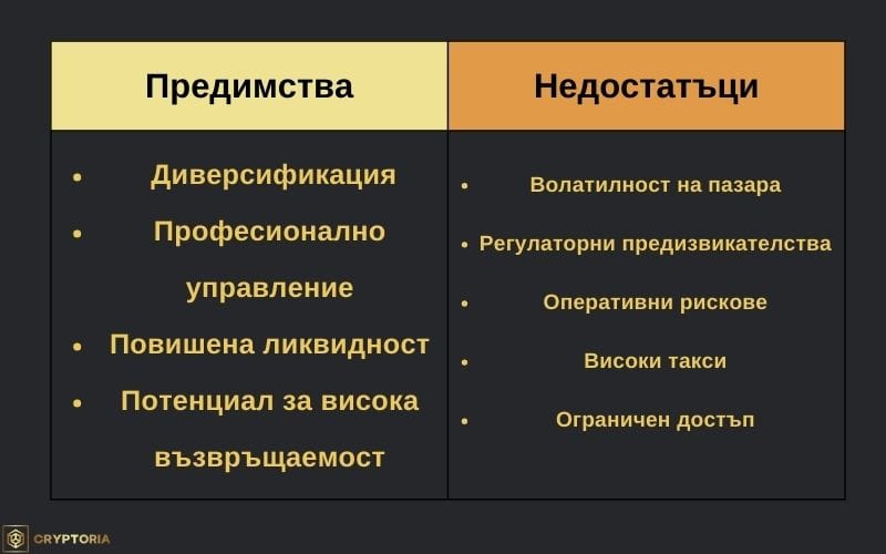 Предимства и недостатъци на Крипто Хедж фондовете. Изображение: Cryptoria.bg