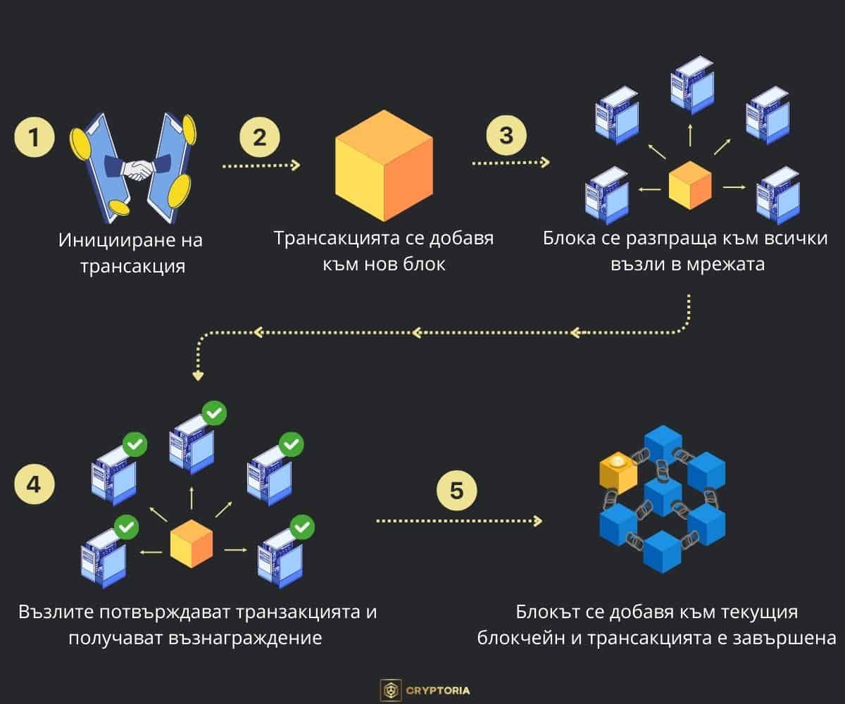 Примерно функциониране на възлите. Инфографика: Cryptoria.bg
