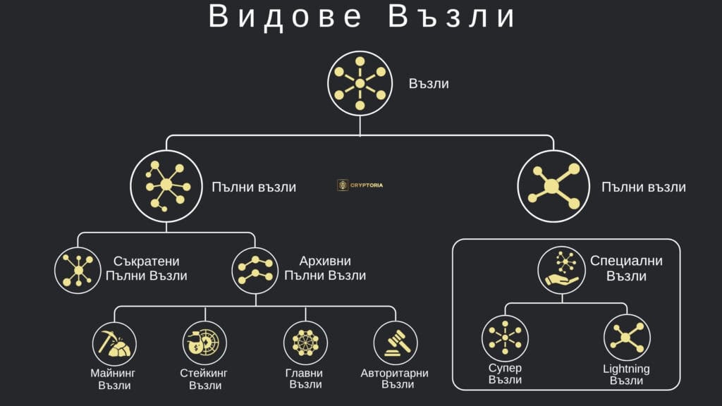 Инфографика: Видове Възли | Cryptoria.bg