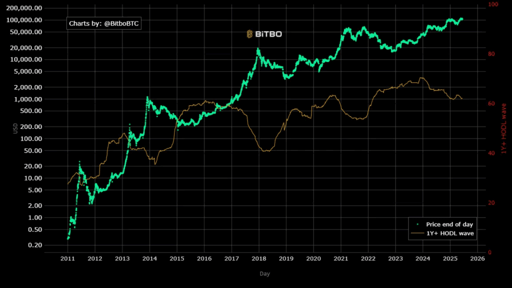 Графиката на 1-годишната HODL вълна показва процента на Биткойн адресите, които държат своите монети поне една година без изходящи транзакции.