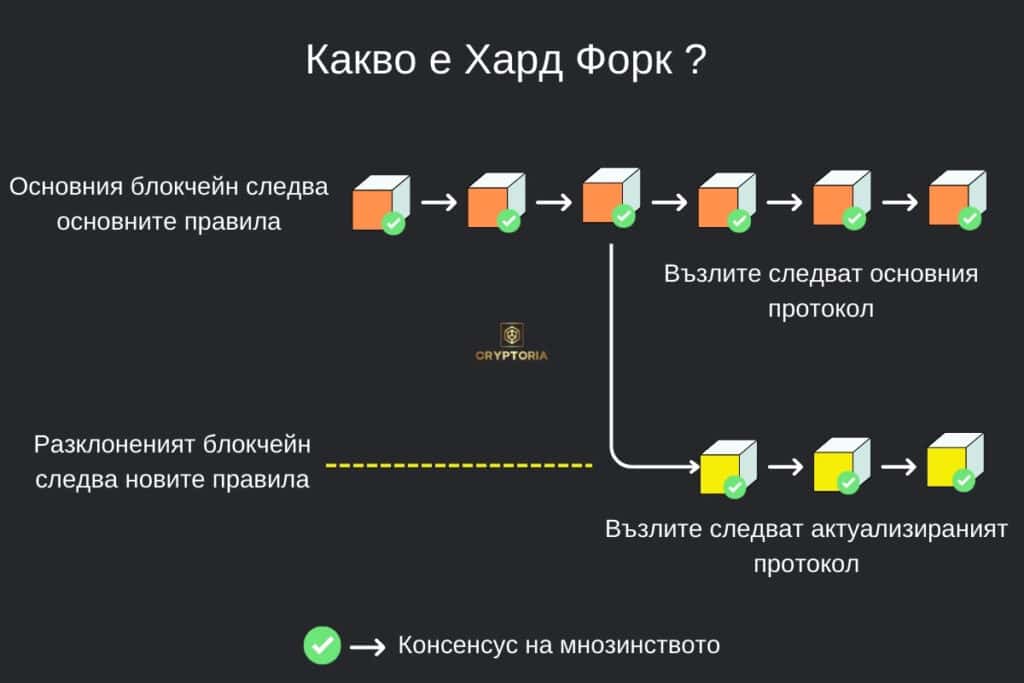 Какво е Хард Форк? | Cryptoria.bg