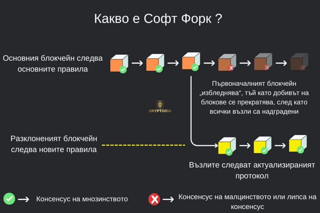 Инфографика Какво е Софт Форк? | Cryptoria.bg