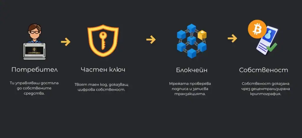 Инфографика Механизмът зад собствеността върху Биткойн
